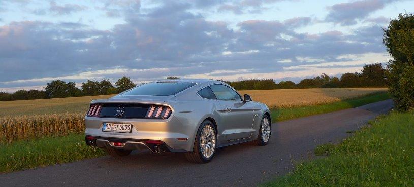 Silvy%205.0%20Mustang%20GT%20Auto%20PP%20Elena%20B%C3%BCcker%20Alois%20Buecker%20a11.jpg