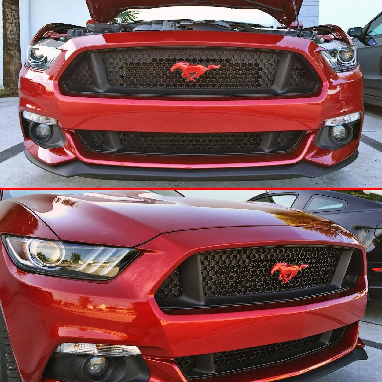 15-17-mustang-pony-front-emblem-color-coded-ford-official-licensed-29.webp