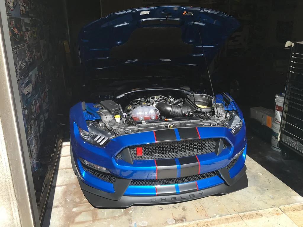 27876962473_3b25f3fd2f_b.webp