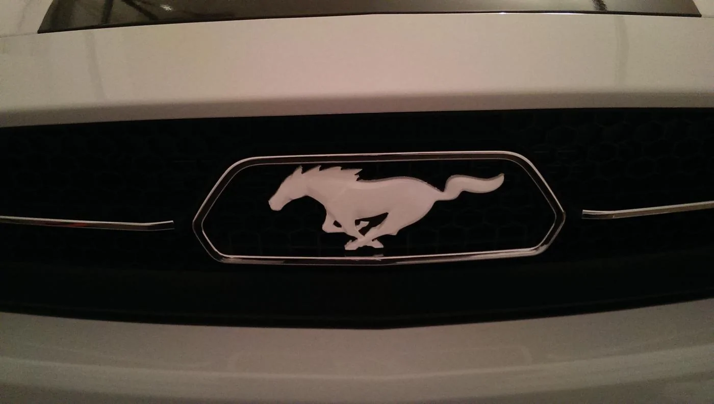 White Horse.webp
