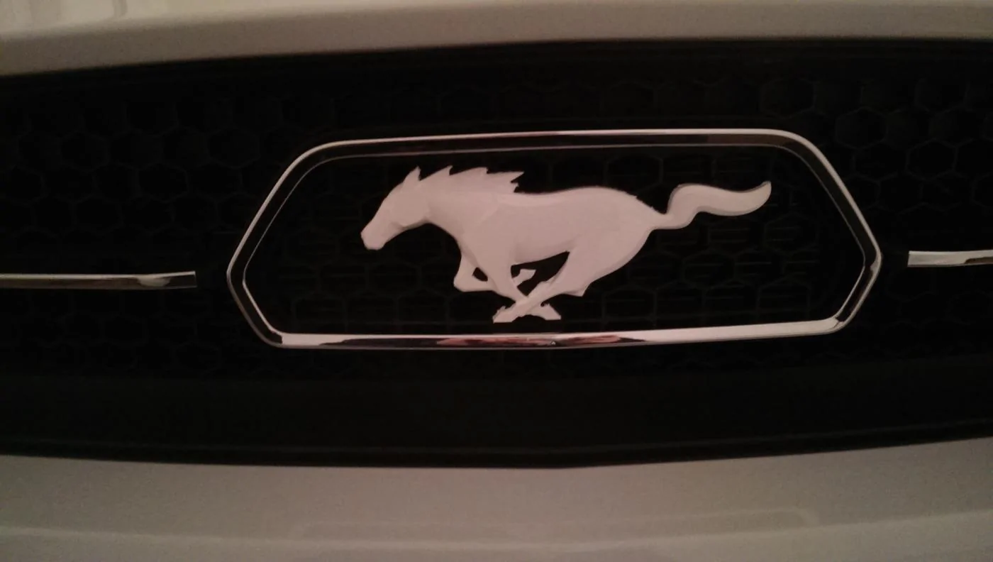 White Horse 2.webp