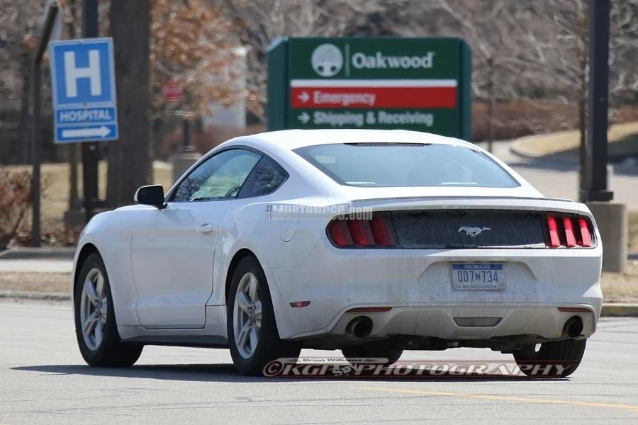 Stang_OxfordWhite_b07_KGP_ed-3154742993-O.webp