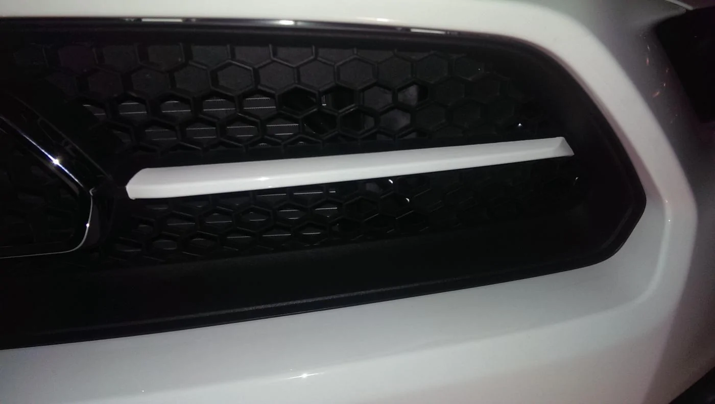IMAG0703.webp