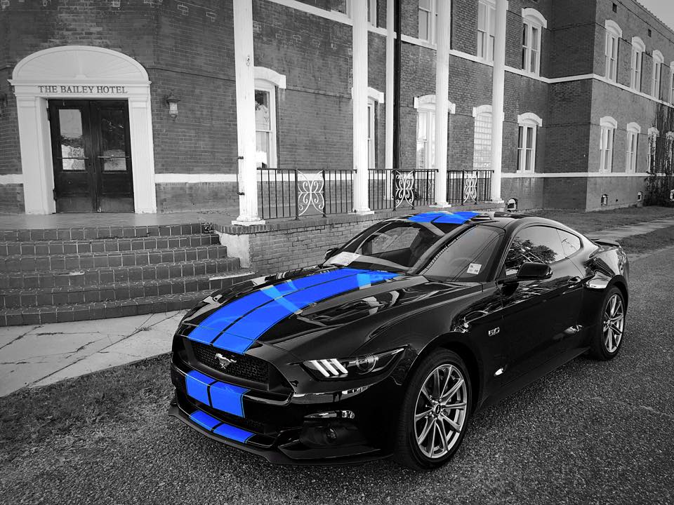2015 b&w.jpg