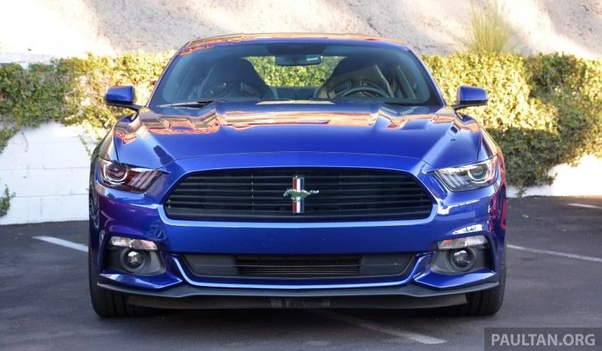 roushsaleen.webp