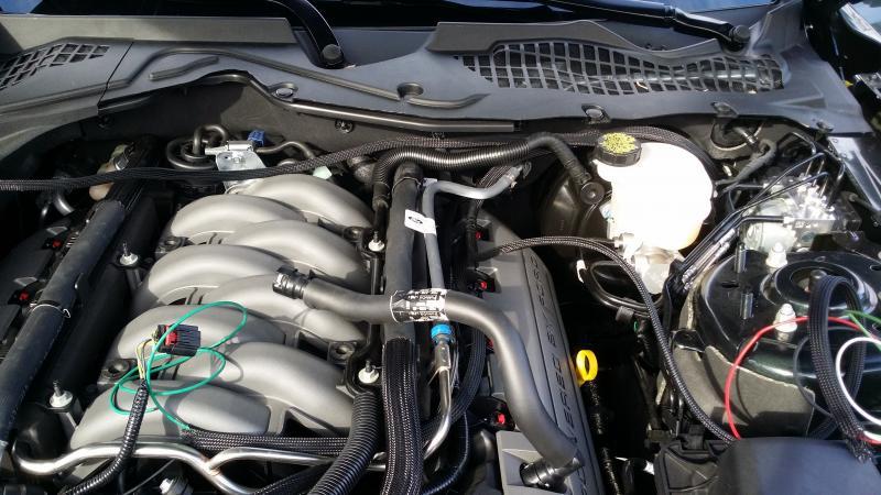 20150207_143112_zps7ee6d1c0.jpg