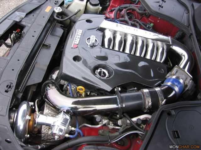 265409_10832.jpg