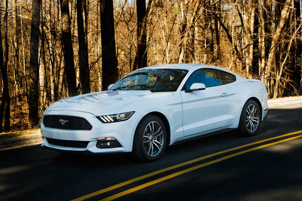 _MG_5972.jpg