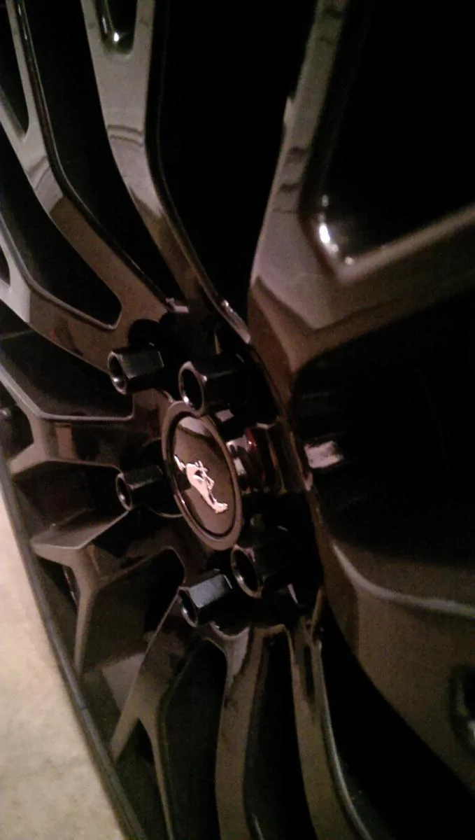 IMAG0747.webp