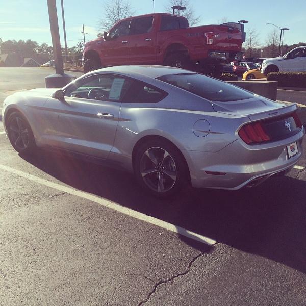 The Stang.jpg
