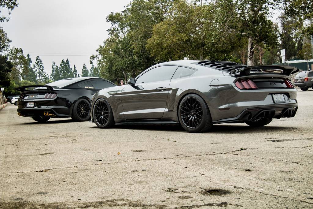 Reaper-Menace-TLT-03.jpg
