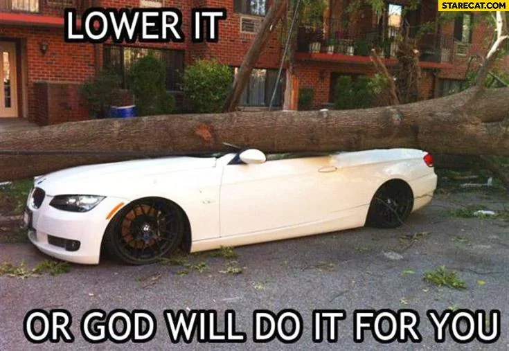 lower-it-or-god-will-do-it-for-you-bmw-hit-by-a-tree.webp