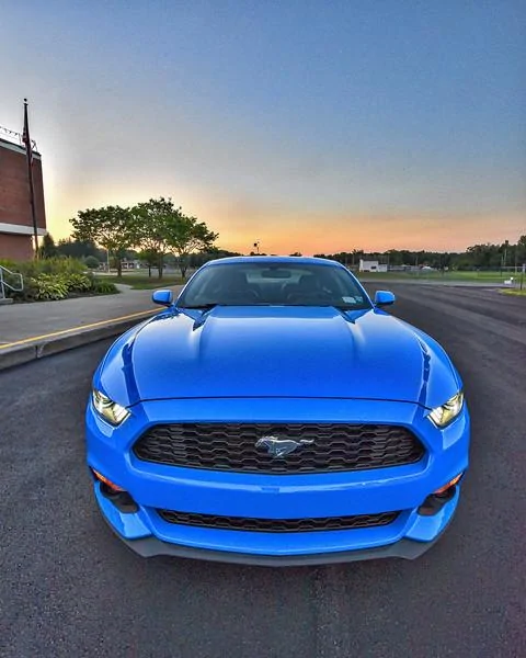 i-wS2v2Gt-L.webp