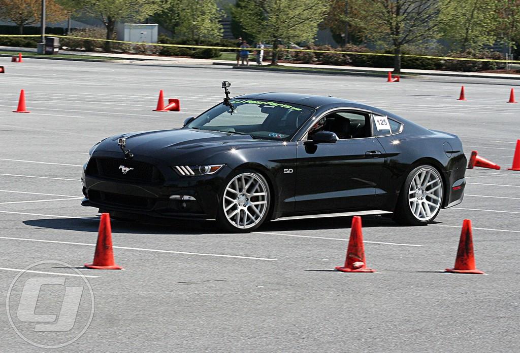 IMG_9417-1024x697.jpg