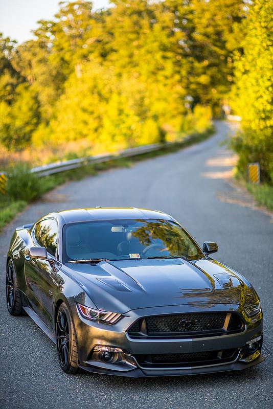 28663318394_ab229affb2_c.jpg