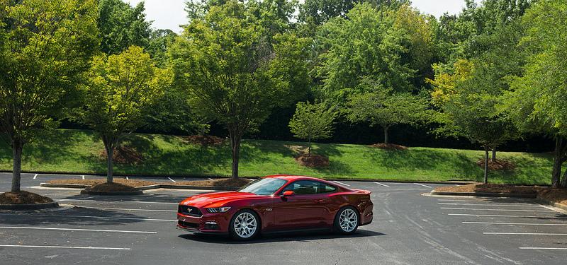 28708901973_d5fc88b530_c.jpg