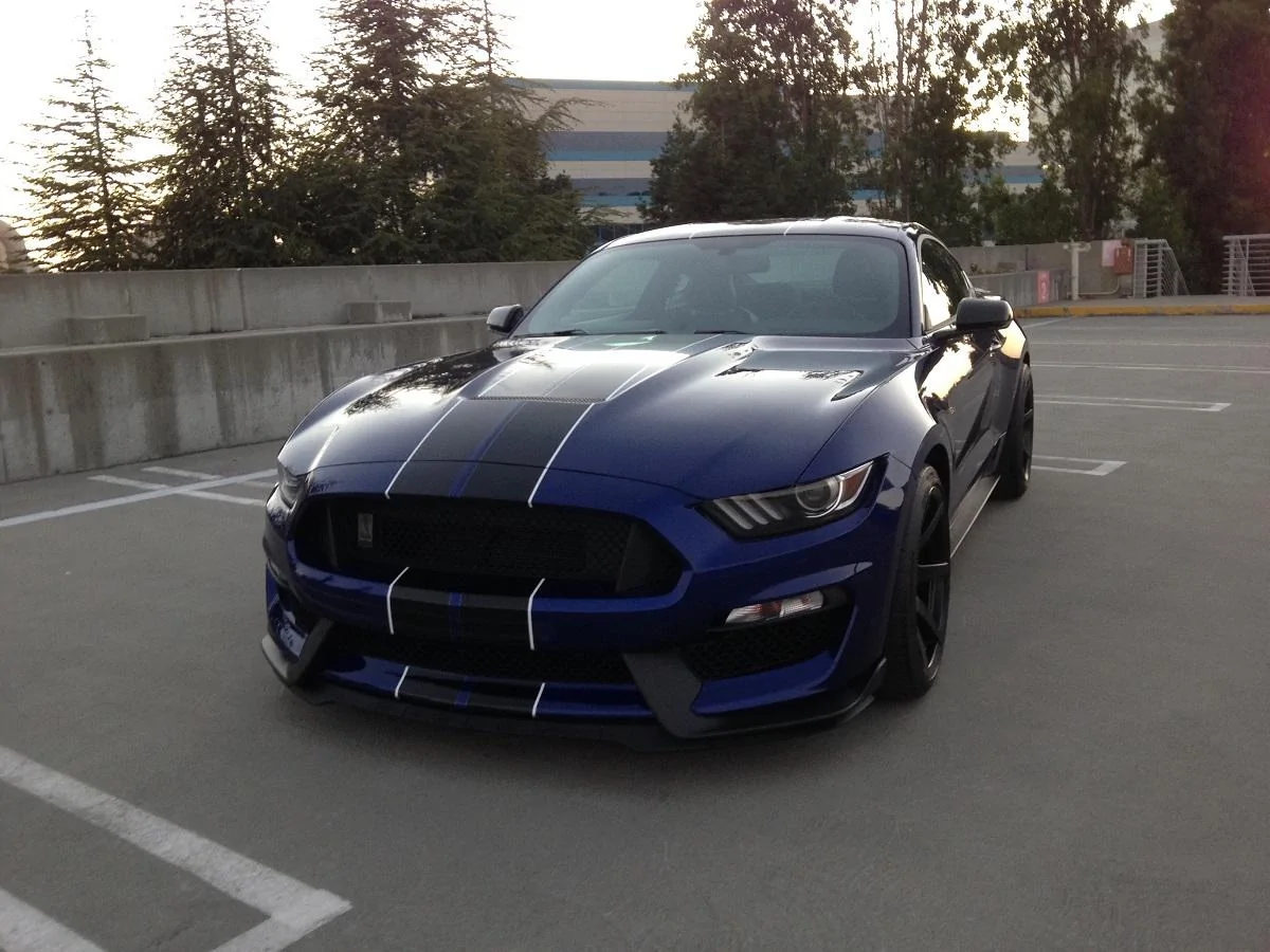 picture.webp