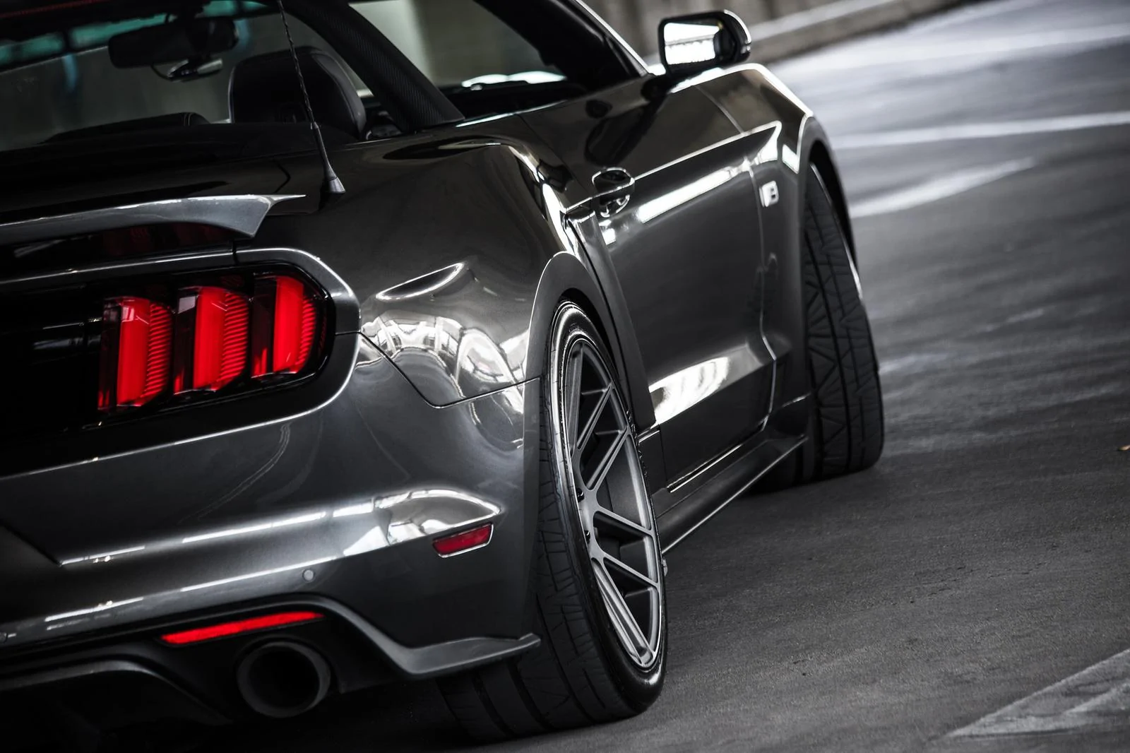 29352543671_f1bc1ae0f6_k.webp