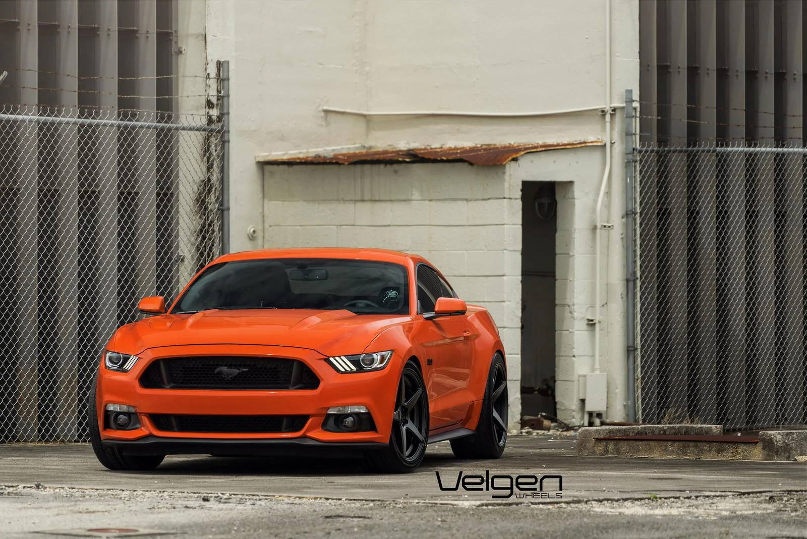 Comp-Orange-Classic5-Satin-Black-1.webp
