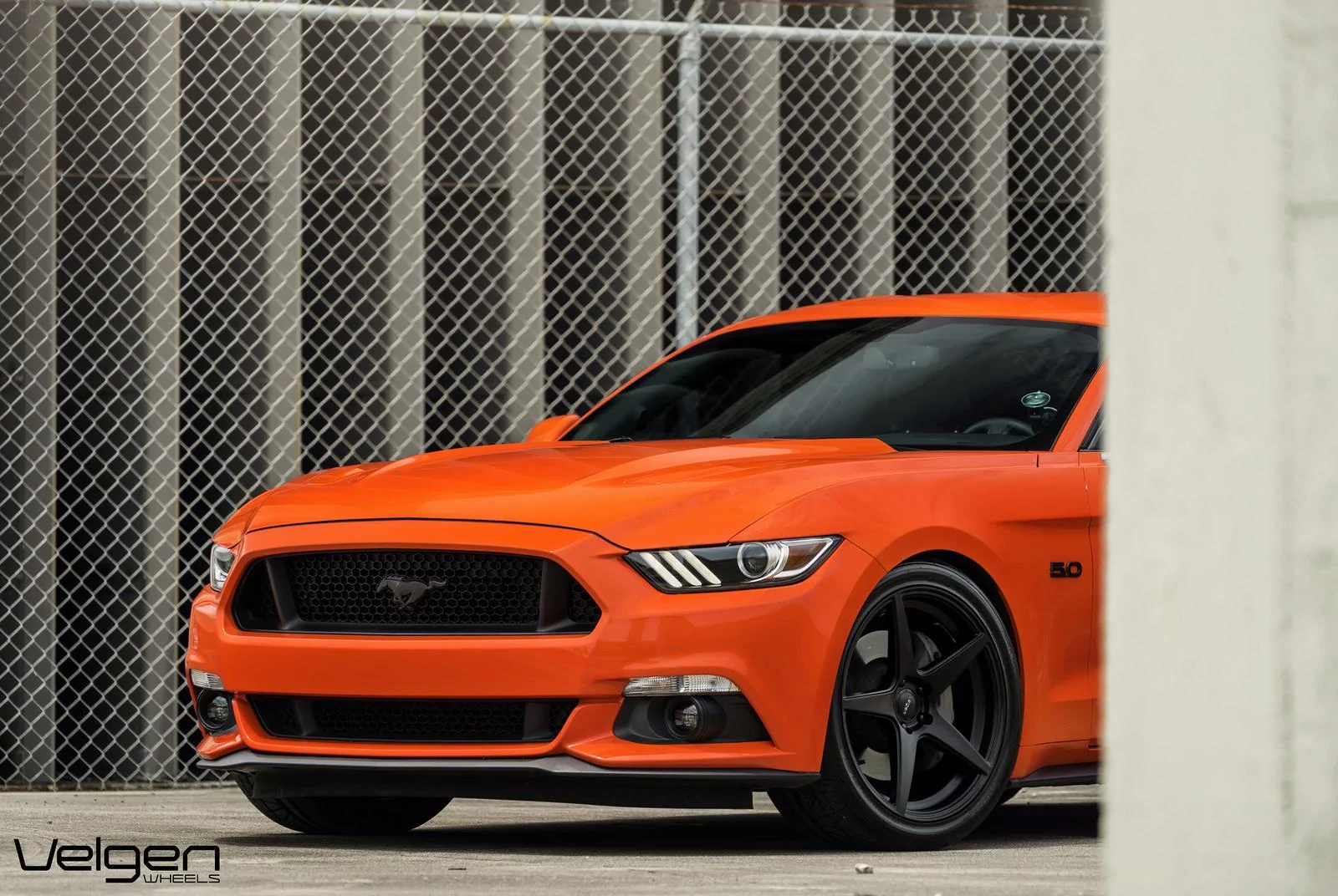 Comp-Orange-Classic5-Satin-Black-6.webp
