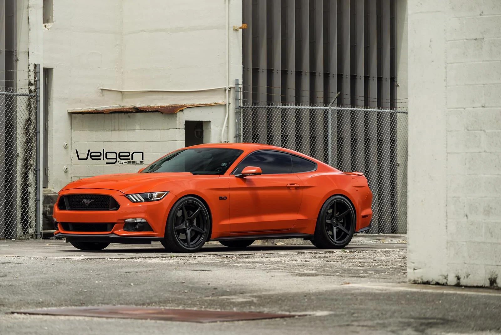 Comp-Orange-Classic5-Satin-Black-2.webp