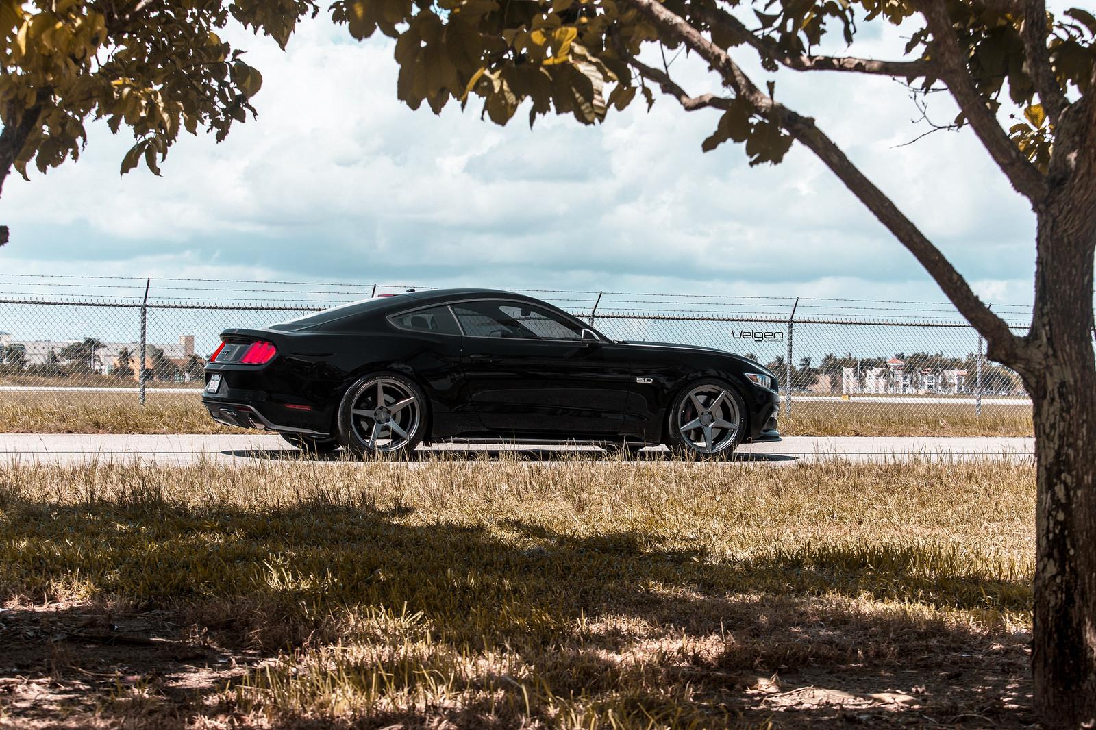 Black-Mustang-Classic5-MG-3.jpg