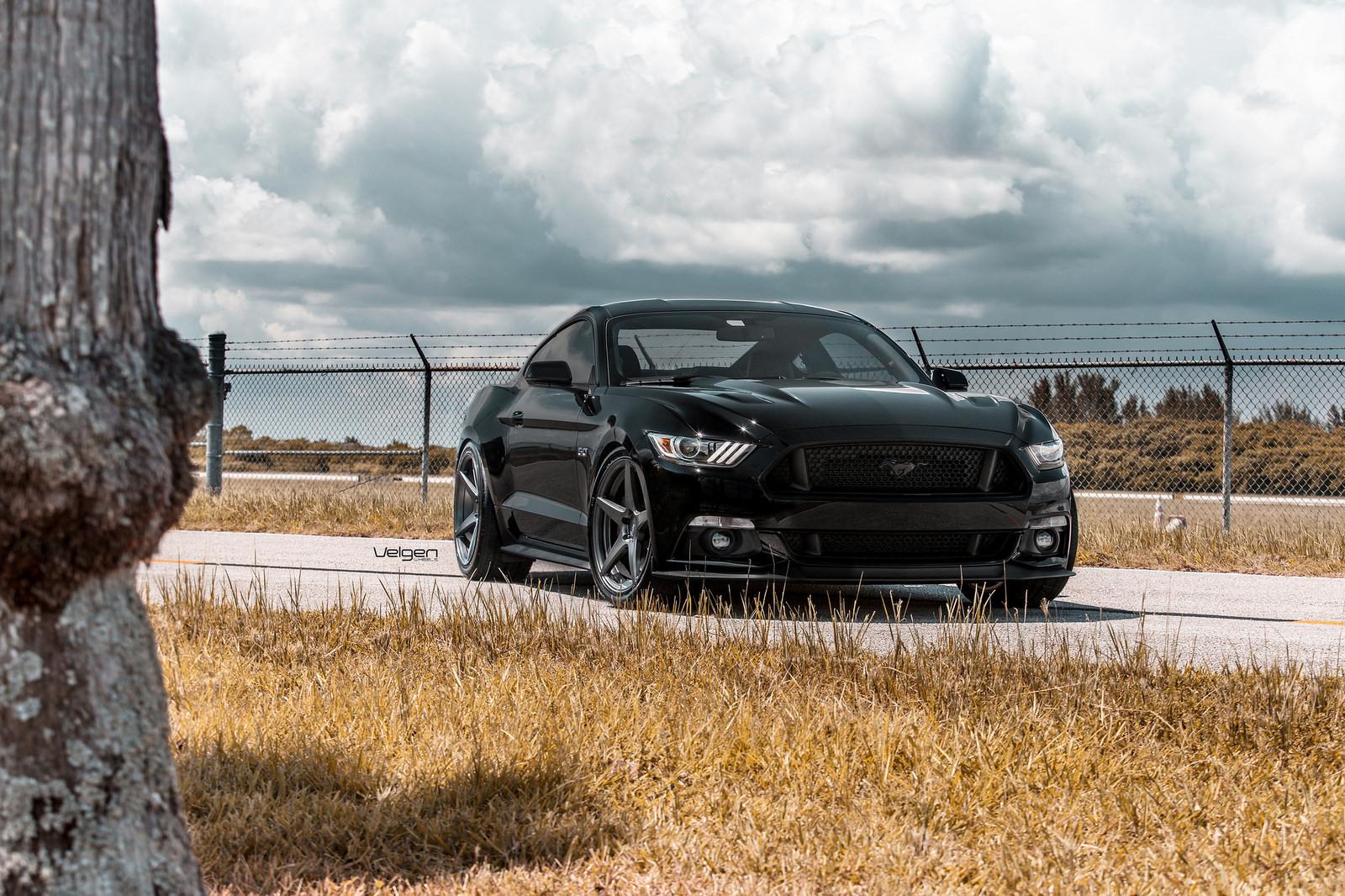 Black-Mustang-Classic5-MG-1-1.jpg
