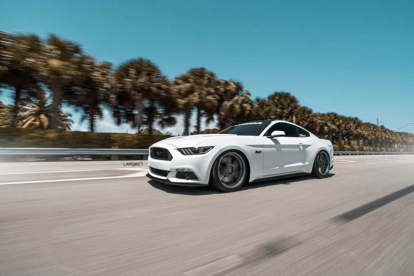 Mustang-GT-Classic5-MG-12.webp