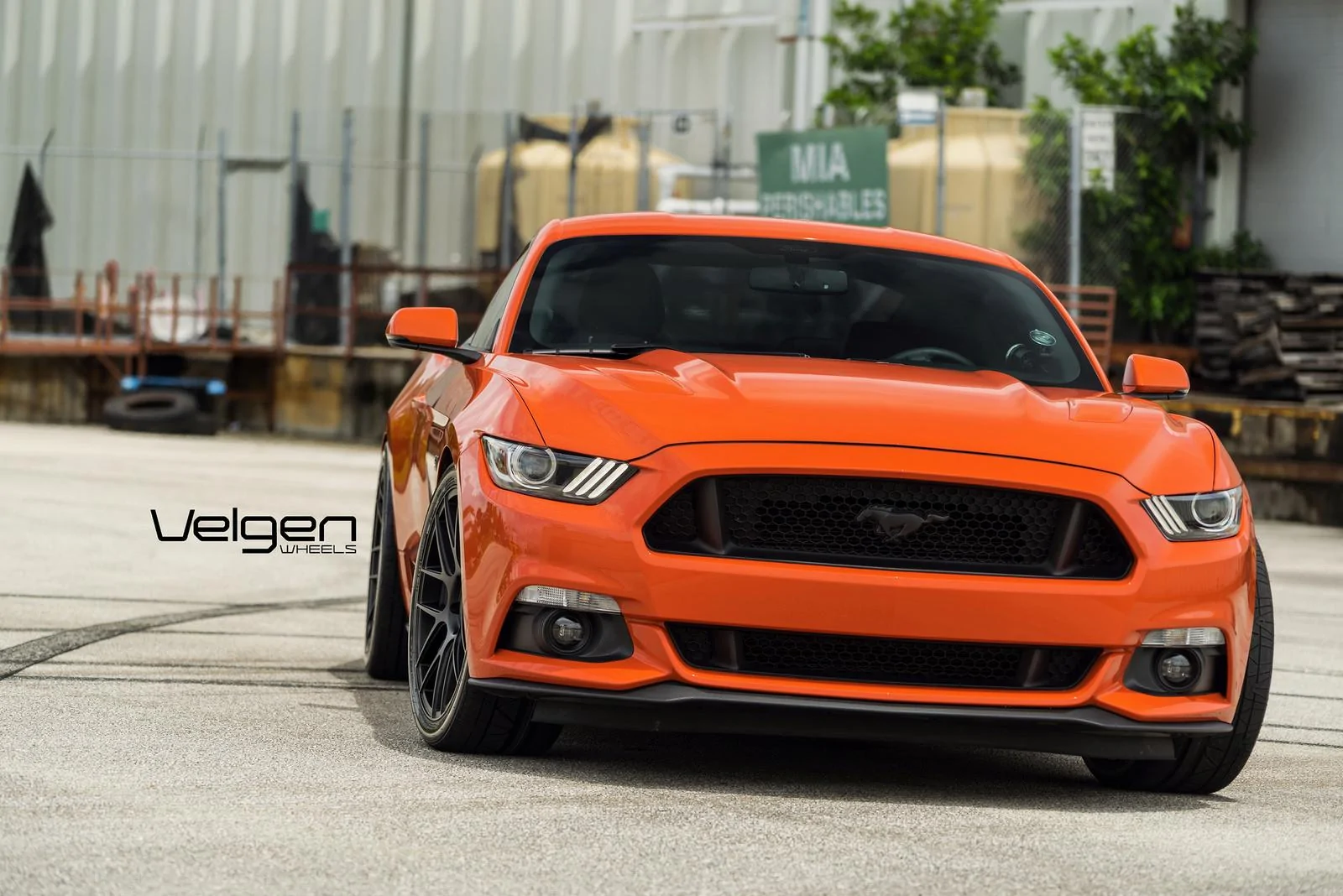 CO-Mustang-on-Velgen-Wheels-VMB7-SB-1-1.webp