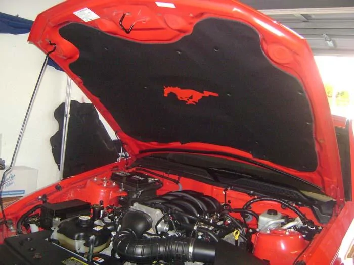 77141d1251159116-new-hood-liner-pic-dsc03309-copy.webp