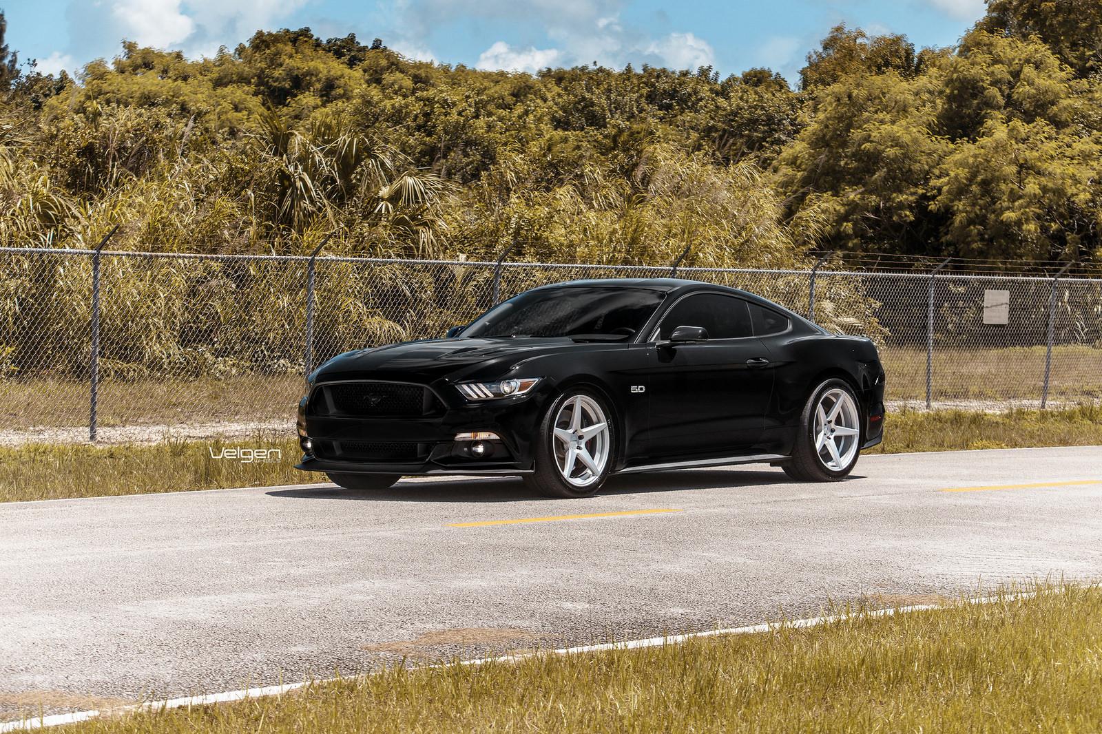 Black-Mustang-Classic5-Silver-2.jpg