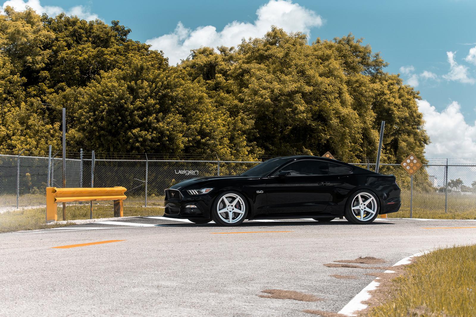 Black-Mustang-Classic5-Silver-3.jpg