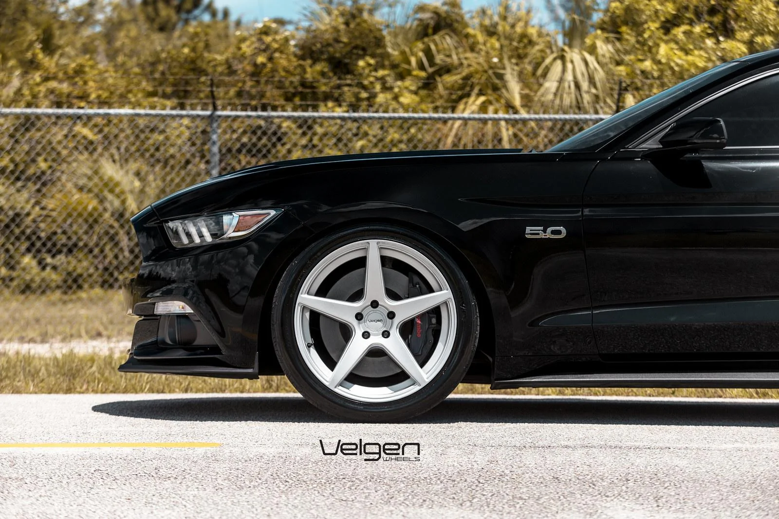 Black-Mustang-Classic5-Silver-7.webp
