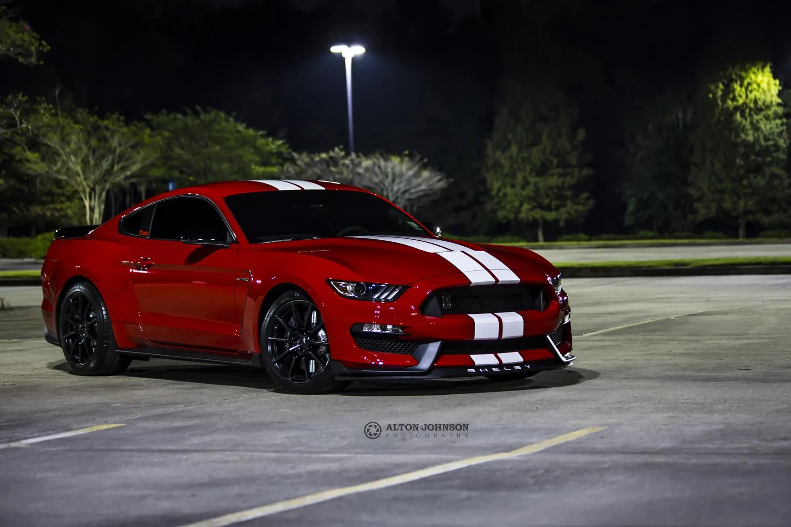 30636191321_d59bca3b1a_k.webp