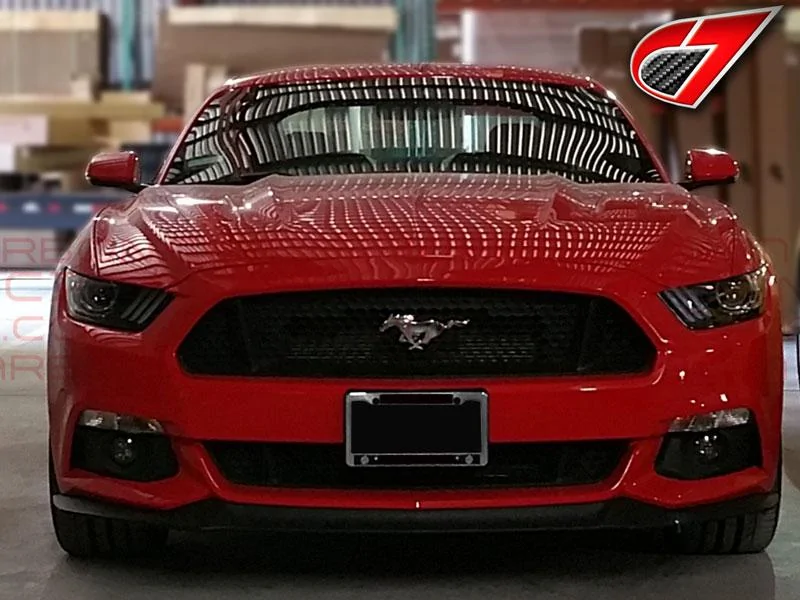 MUSTANG-P0.webp