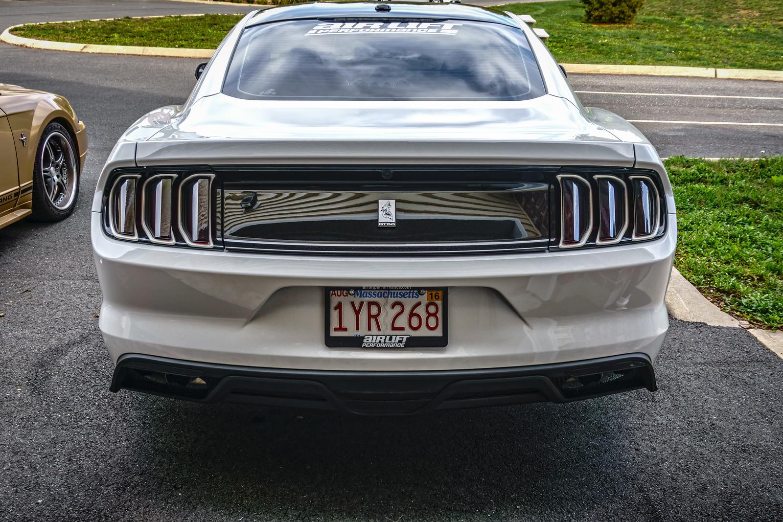 i-f6hVwPM-X3.jpg