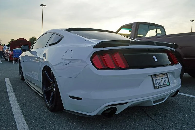27260744641_080313d37e_c.webp