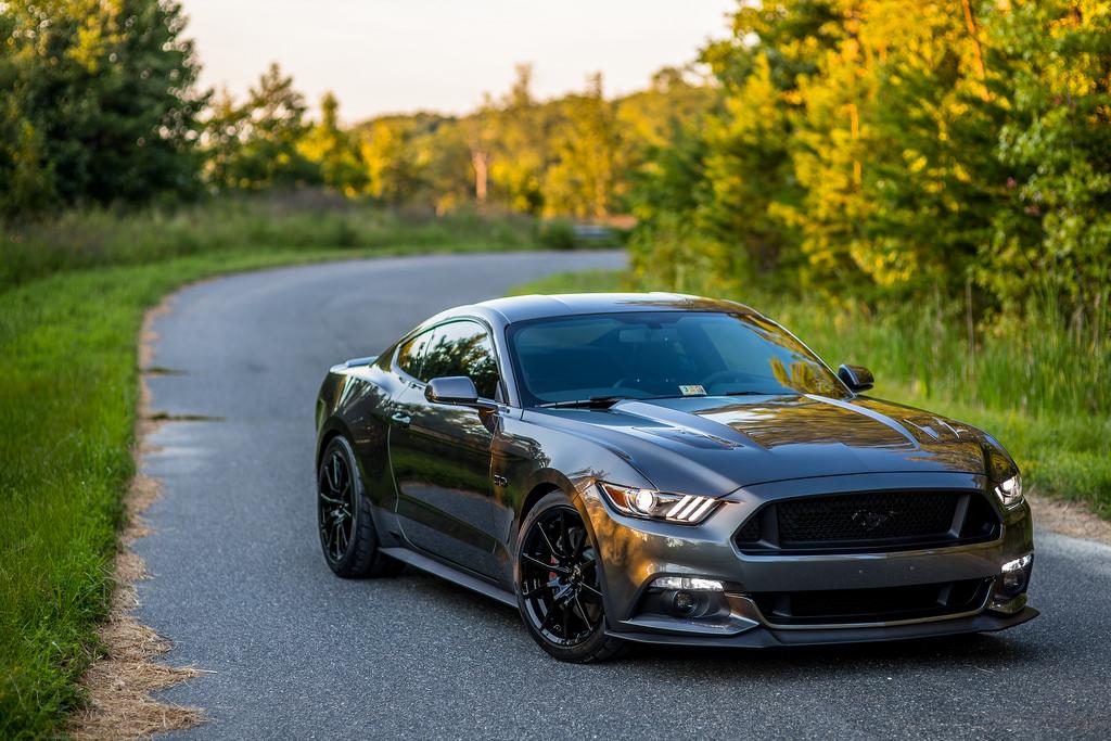 29268010036_daf3f838a3_b.jpg