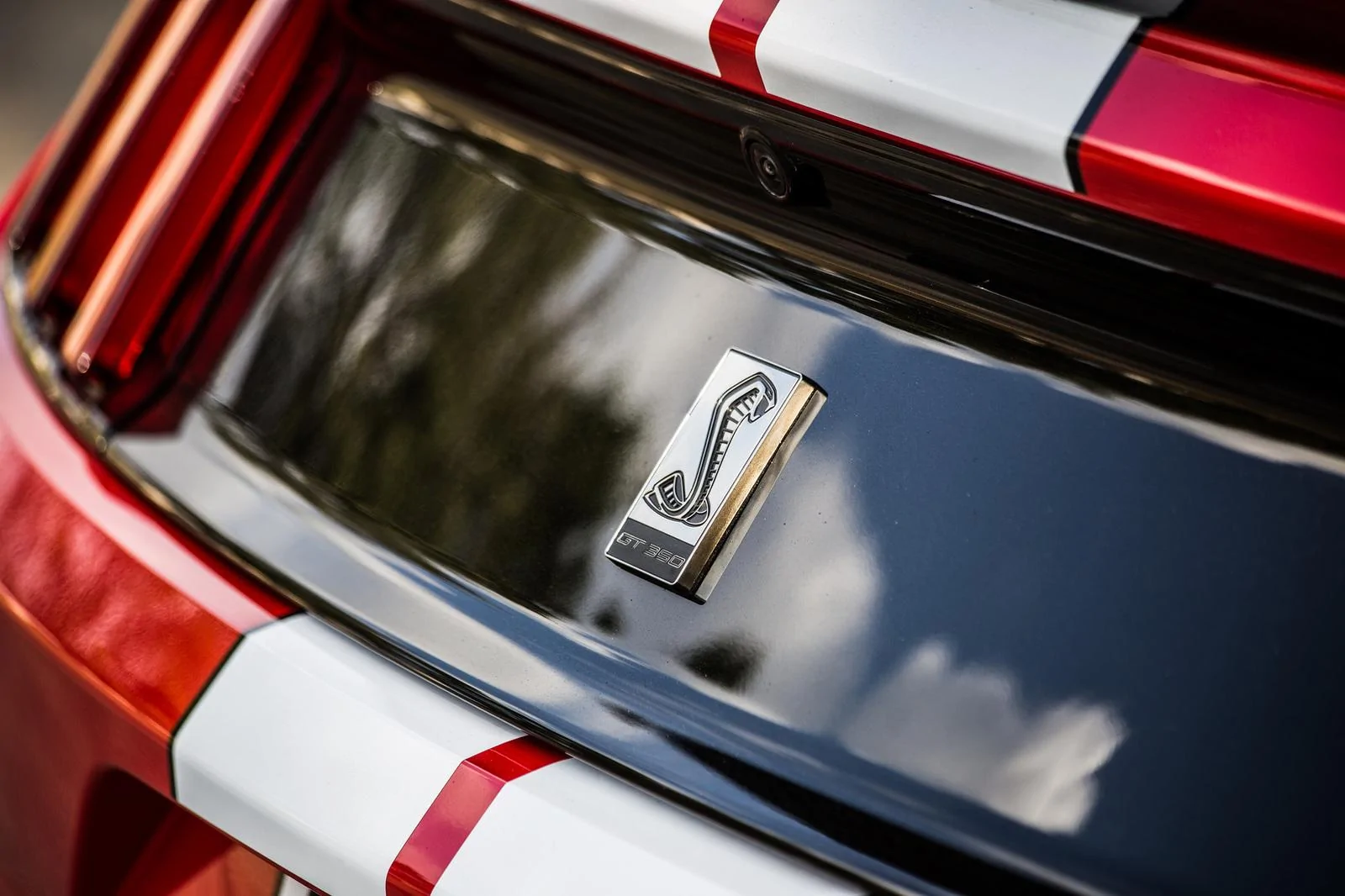 30263488401_6eae342292_k.webp