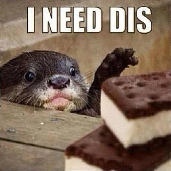 needdis.webp