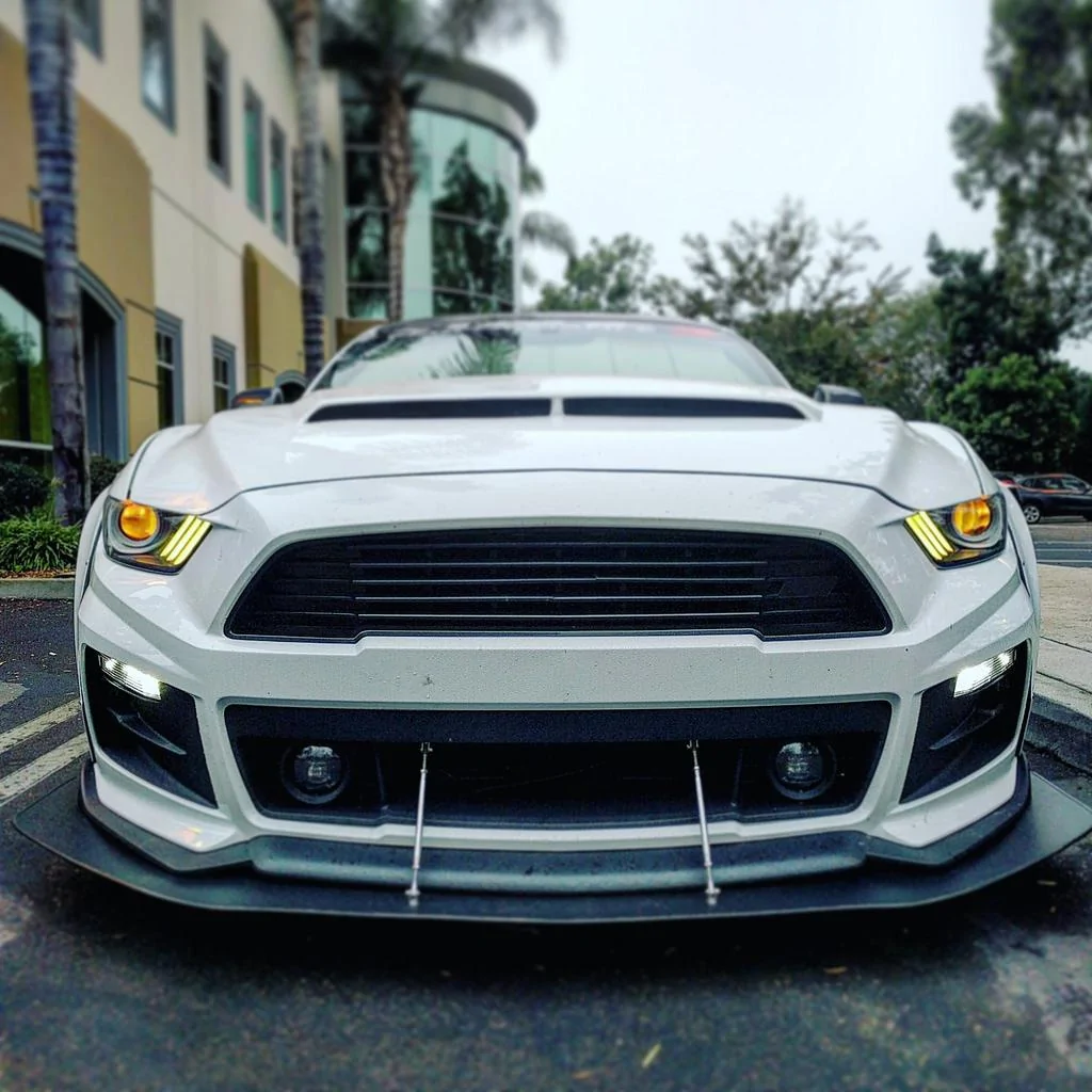 30322518531_fbacc930bd_b.webp