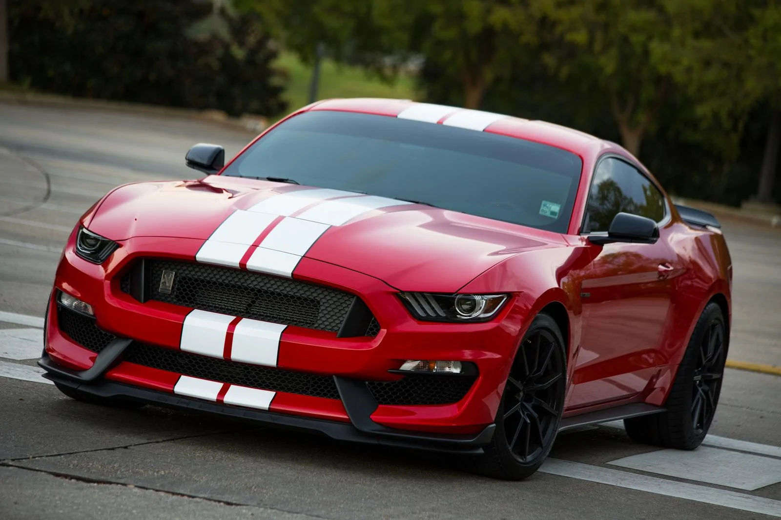 30418256425_0c4d2f99bb_k.webp