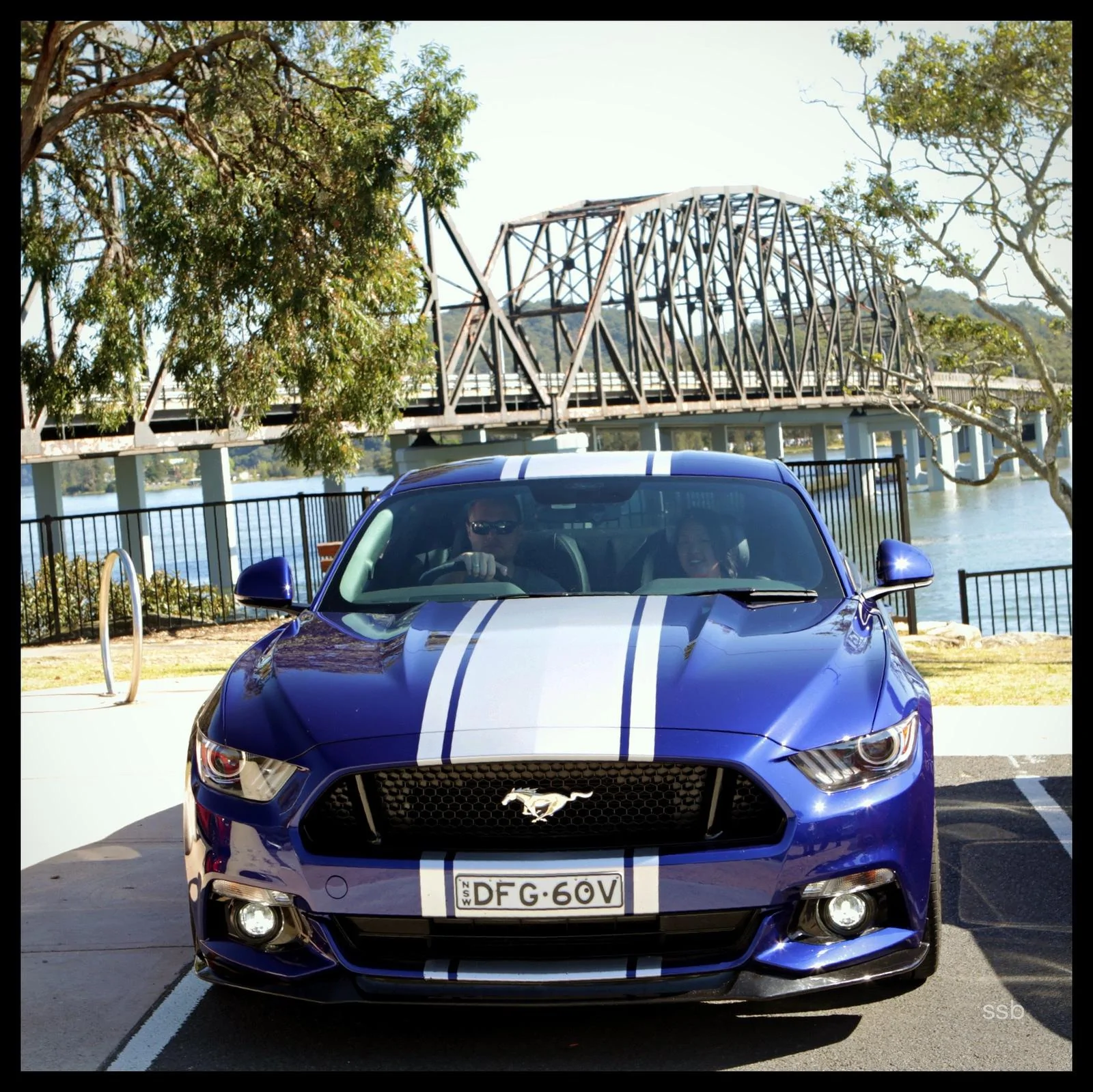 29772600173_48f9935c39_h.webp