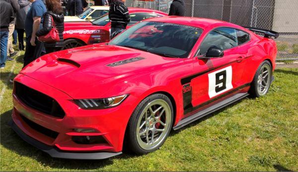 mustang_round-up_2016(2).jpg