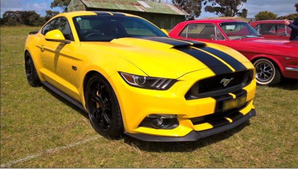 mustang_round-up_2016(3).jpg