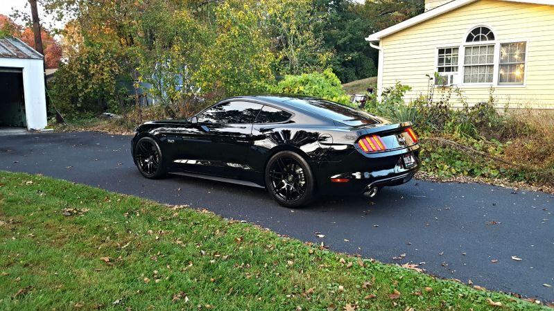 2q1f6nc.jpg