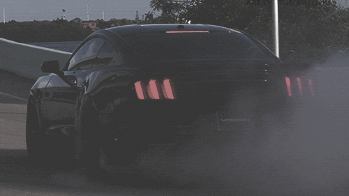 tumblr_nnb8x3oRsW1rnxn7co1_500.gif