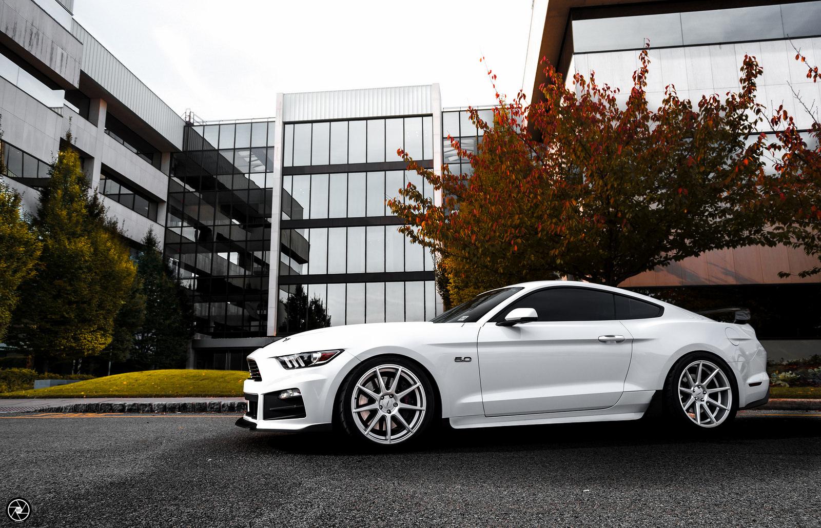 White-S550-VMB9-MS-5.jpg