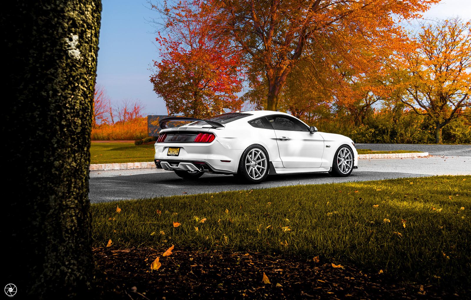 White-S550-VMB9-MS-6.jpg