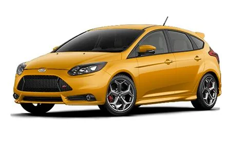 focus st.webp